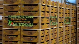В Курской области военнослужащие общевойсковой армии ЗВО получили к Новому Году 5 тонн яблок