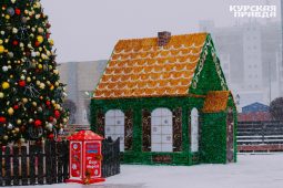 Встретить Новый Год В Курске