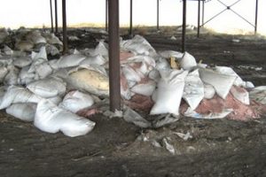 Избавились  от пестицидов