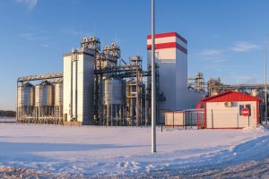 В Курской области «Мираторг» строит предприятия по производству желатина и переработке свиной мукозы
