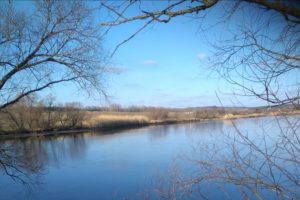 В селе Сосновка Курской области арендатор спустил пруд
