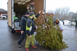 В Курске новогодние елки можно сдать на переработку