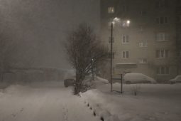 В Курской области из-за снежной бури 915 домов остались без электричества