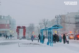 В Курской области 19 января ожидается снег и 15°мороза