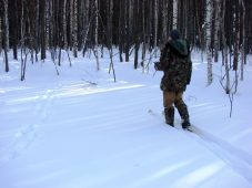 В Курской области готовятся к зимнему учету животных