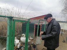 В Курчатове Курской области решается участь птичьего парка