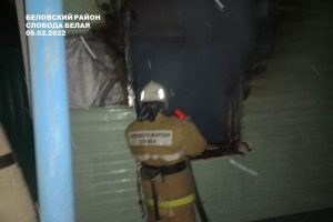 В Курской области за сутки на пожаре погибли два человека