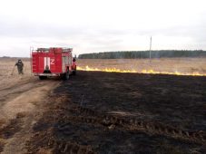 В Курской области горело более 400 квадратных метров сухой травы