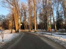В Курской области 13 марта ожидается гололедица и до 5 градусов тепла