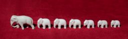 В Краеведческом музее «поселились» уникальные фарфоровые слоны