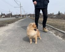 В Курской области 18 ноября прогнозируют шквалистый ветер