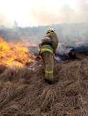 За прошедшие сутки в Курской области произошло 12 пожаров