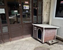 В Курске предложили установить на лето будки для собак около кафе