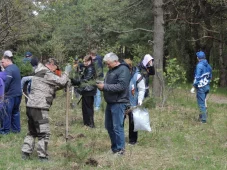 В Курске высадили 900 саженцев деревьев в парке Солянка