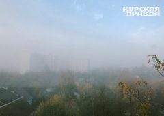 Завтра в Курской области потеплеет до +17°C