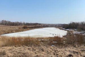 В Курском районе незаконно спустили пруд