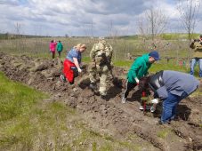 В Курской области в урочище Грачинка высадили более 10 тысяч деревьев