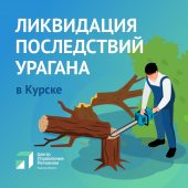 В Курске комслужбы опилили аварийные деревья по 40 адресам