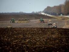 В Курской области зерновые культуры посажены уже на 95%