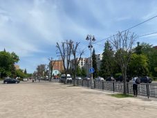 В Курске на улице Ленина снесут 89 больных лип