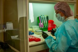 В Курском кожвендиспансере сделали больше миллиона ПЦР-тестов на коронавирус