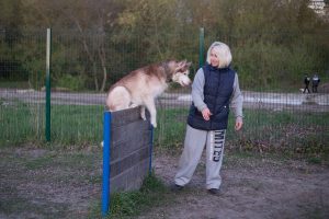 Где в Курске погулять с собакой, чтобы никто не огрызался