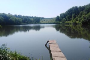 В Курской области в пруду утонула 39-летняя женщина