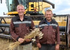 В Курской области аграрии намолотили около 500 тысяч тонн зерна