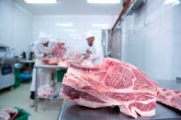 В Курске предпринимателя оштрафовали за антибиотики в говядине