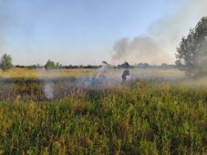 236 курян оштрафовали на 250 тысяч рублей за сжигание травы и мусора
