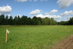 В Курской области фермер-депутат обманом приобрёл 27 гектаров земли