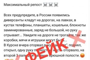 Власти опровергли фейк о «диверсантах»