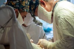 Курские хирурги провели сложную операцию по соединению сосудов