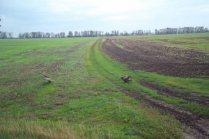 В Курской области обнаружили краснокнижного орлана-белохвоста
