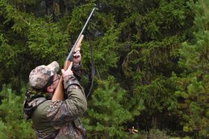 Охота под запретом