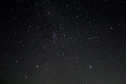 Курян приглашают пронаблюдать метеорный поток Персеиды в телескопы