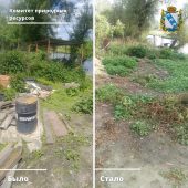 В Дьяконово Курской области пресекли нарушение природоохранного законодательства