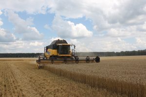 Курских аграриев наградят за исторический рекорд по сбору зерновых