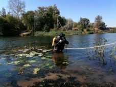 В Курске в реке Сейм утонул 50-летний мужчина