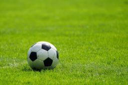 Крытый футбольный манеж откроют в Курске весной 2024 года