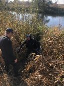 В Курской области в реке Свапа утонула 61-летняя женщина