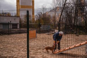 В Курске на проспекте Клыкова появилась площадка для дрессировки собак