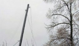 В Курской области 124 населенных пункта остаются без электричества