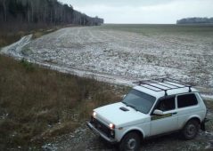 В Курской области браконьеры незаконно охотились на дикого кабана