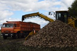 В Курской области перевозка сельскохозяйственных грузов ведется под контролем