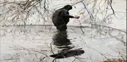 В Курской области 5 ноября утонула 49-летняя женщина