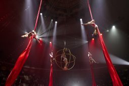 В Курском цирке прошло благотворительное представление «Лукоморье»