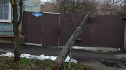 В Курске на улице Чумаковской упала опора ЛЭП