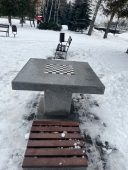 В курском парке установили шахматные и теннисные столы