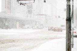 Курян призвали отказаться от езды на автомобилях в непогоду